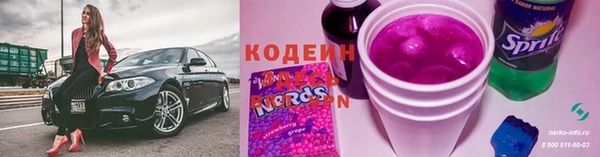 ГАЛЛЮЦИНОГЕННЫЕ ГРИБЫ Каменка
