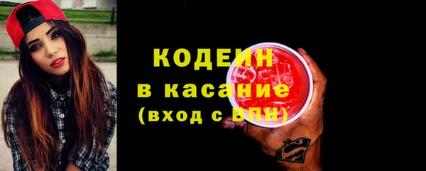 ГАЛЛЮЦИНОГЕННЫЕ ГРИБЫ Каменка