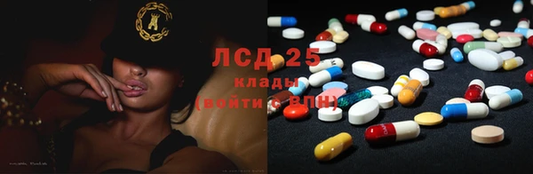 ГАЛЛЮЦИНОГЕННЫЕ ГРИБЫ Каменка