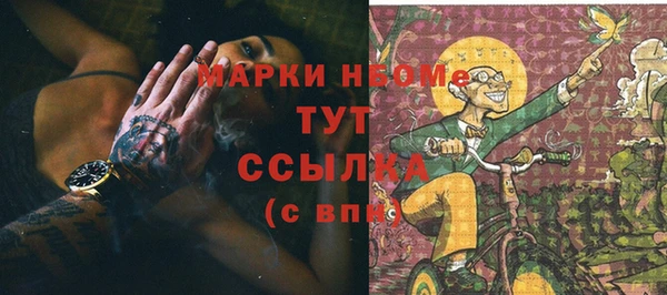 ГАЛЛЮЦИНОГЕННЫЕ ГРИБЫ Каменка
