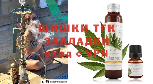 ГАЛЛЮЦИНОГЕННЫЕ ГРИБЫ Каменка