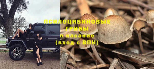 COCAINE Каменск-Шахтинский