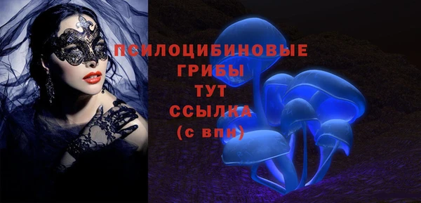 ГАЛЛЮЦИНОГЕННЫЕ ГРИБЫ Каменка