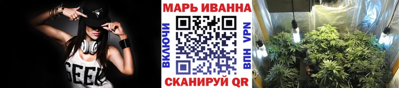 Купить где  Дмитриев  МАРИХУАНА Amnesia 